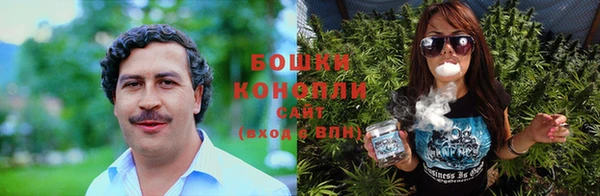 трава Алзамай