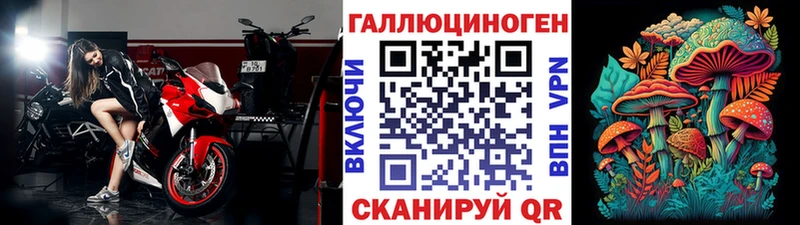 купить наркотик  Зеленоградск  Галлюциногенные грибы мицелий 